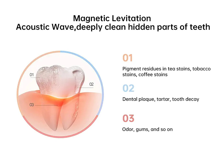 Tongwode Ultrasonic Electric Toothbrush Wireless Charging IPX7 Waterproof Replacement Heads Whitening Teeth Timer Smart Brush